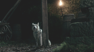 Lady-game-of-thrones-direwolves-29653157-800-450